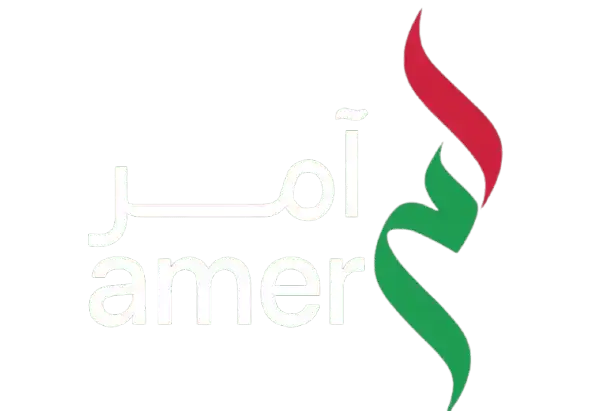 amer logo-min